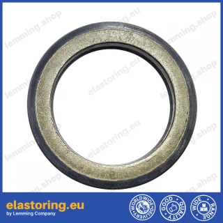 High pressure oil seal 28,6x39x4,9 BAKHDSN NBR
