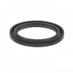 High pressure oil seal 28x38x4 NS01W NBR High pressure oil seal 28x38x4 NS01W NBR