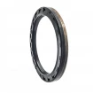Oil seal 100x125x12,5 B1BAESSSLRSX7 FPM Oil seal 100x125x12,5 B1BAESSSLRSX7 FPM
