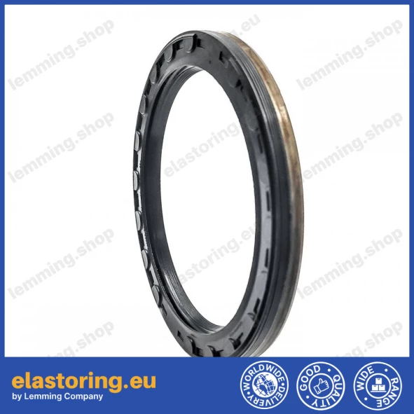 Oil seal 100x125x12,5 B1BAESSSLRSX7 FPM Oil seal 100x125x12,5 B1BAESSSLRSX7 FPM