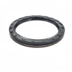 Oil seal 100x125x12,5 B1BAESSSLRSX7 FPM Oil seal 100x125x12,5 B1BAESSSLRSX7 FPM