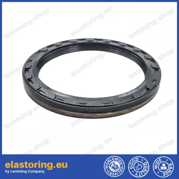 Oil seal 100x125x12,5 B1BAESSSLRSX7 FPM Oil seal 100x125x12,5 B1BAESSSLRSX7 FPM