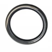 Oil seal 100x125x12,5 B1BAESSSLRSX7 FPM Oil seal 100x125x12,5 B1BAESSSLRSX7 FPM