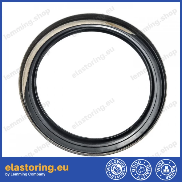 Oil seal 100x125x12,5 B1BAESSSLRSX7 FPM Oil seal 100x125x12,5 B1BAESSSLRSX7 FPM