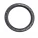Oil seal 100x125x12,5 B1BAESSSLRSX7 FPM