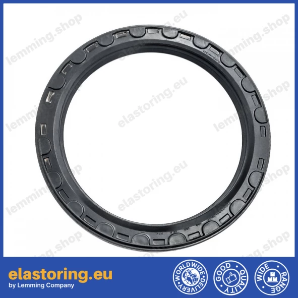 Oil seal 100x125x12,5 B1BAESSSLRSX7 FPM Oil seal 100x125x12,5 B1BAESSSLRSX7 FPM