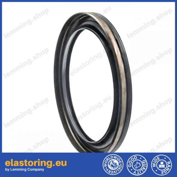 Oil seal 100x125x12,5 B1BAESSSLRSX7 FPM Oil seal 100x125x12,5 B1BAESSSLRSX7 FPM