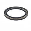 Oil seal 100x125x12,5 B1BAESSSLRSX7 FPM Oil seal 100x125x12,5 B1BAESSSLRSX7 FPM