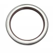 Pressure oil seal 100x125x13 TCN1 FPM