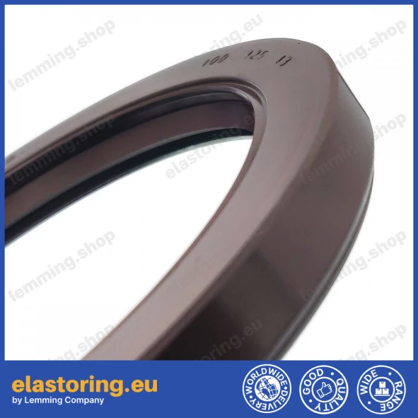 Pressure oil seal 100x125x13 TCN1 FPM