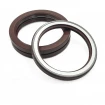 Pressure oil seal 100x125x13 TCN1 FPM