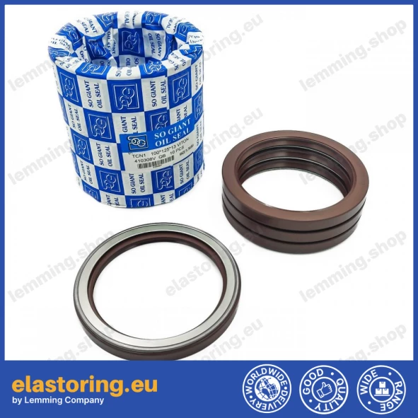 Pressure oil seal 100x125x13 TCN1 FPM