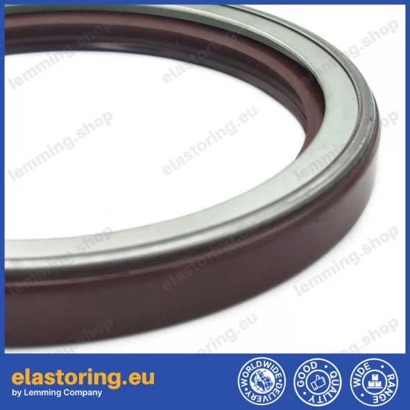 Pressure oil seal 100x125x13 TCN1 FPM