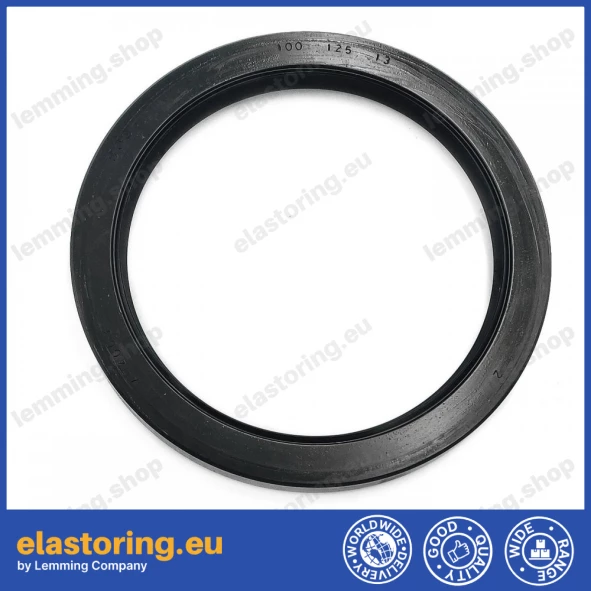 Pressure oil seal 100x125x13 TCN1 NBR