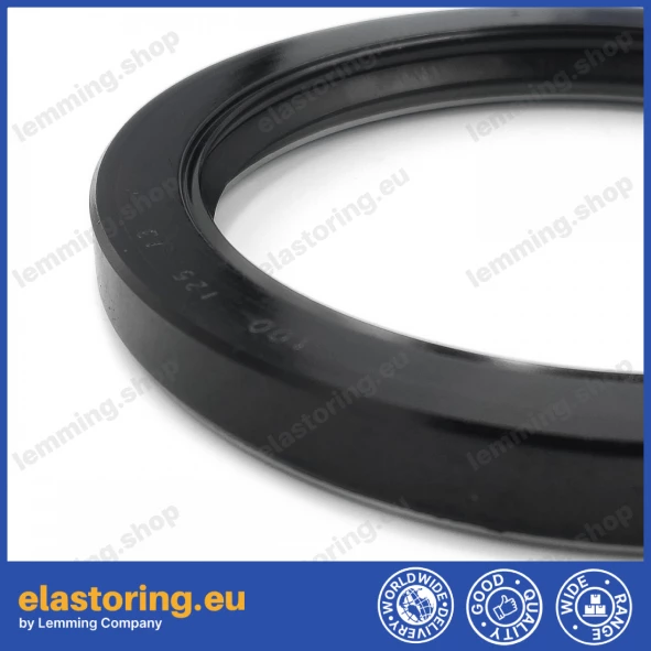 Pressure oil seal 100x125x13 TCN1 NBR