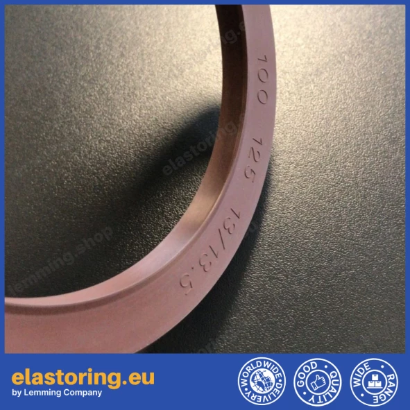 Pressure oil seal 100x125x13/13,5 BABSL FPM