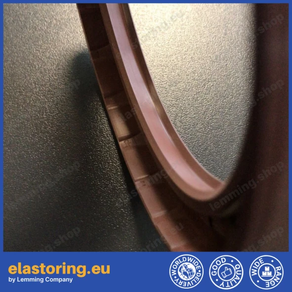Pressure oil seal 100x125x13/13,5 BABSL FPM