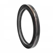Oil seal 105x130x12 B1BAPTRDX7 TFE