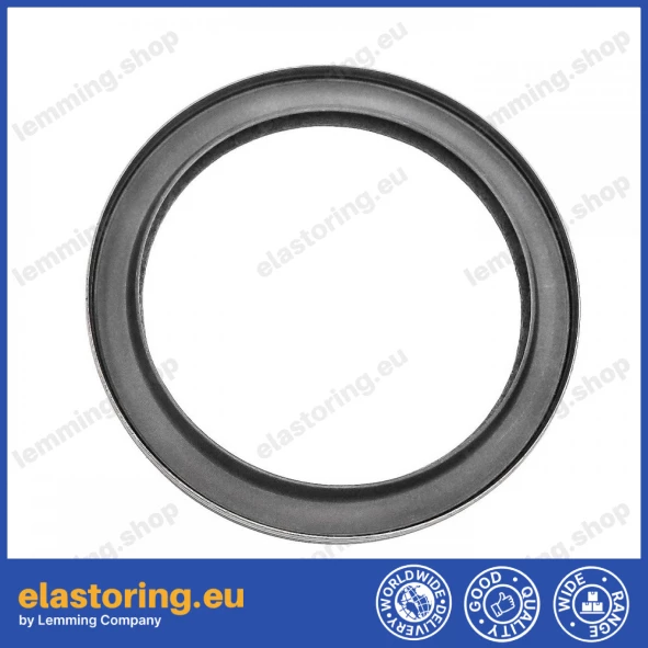 Oil seal 105x130x12 B1BAPTRDX7 TFE
