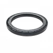 Oil seal 105x130x12 B1BAPTRDX7 TFE