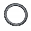 Oil seal 105x130x12 B1BAPTRDX7 TFE