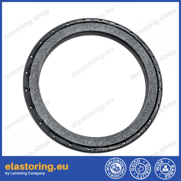 Oil seal 105x130x12 B1BAPTRDX7 TFE