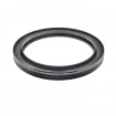 Oil seal 105x130x12 B1BAPTRDX7 TFE