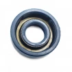 Pressure oil seal 10x22x6 BABSL NBR Pressure oil seal 10x22x6 BABSL NBR