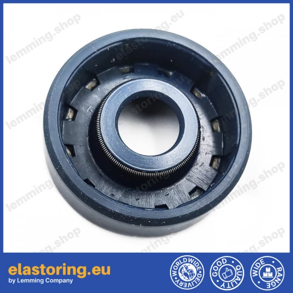 Oil seal 10x30x10 BA NBR Oil seal 10x30x10 BA NBR