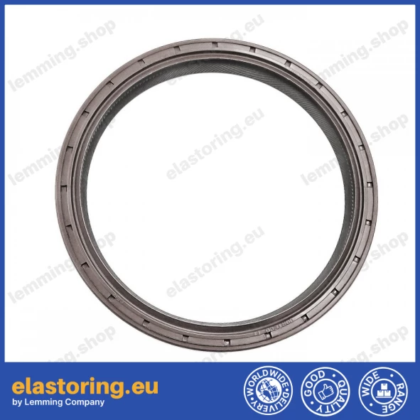 Oil seal 110x130x13 B1BAVISLRS FPM Oil seal 110x130x13 B1BAVISLRS FPM