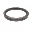Oil seal 110x130x13 B1BAVISLRS FPM Oil seal 110x130x13 B1BAVISLRS FPM