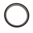 Oil seal 110x130x13 B1BAVISLRS FPM Oil seal 110x130x13 B1BAVISLRS FPM