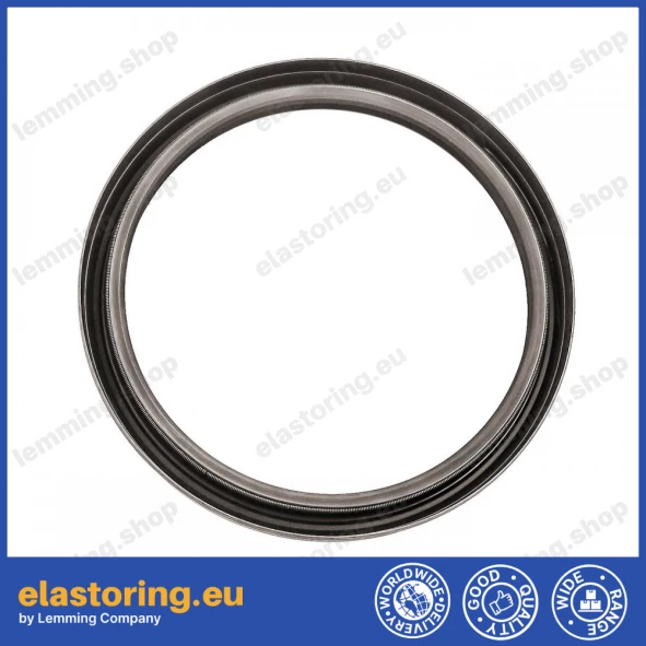 Oil seal 110x130x13 B1BAVISLRS FPM Oil seal 110x130x13 B1BAVISLRS FPM