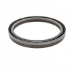 Oil seal 110x130x13 B1BAVISLRS FPM Oil seal 110x130x13 B1BAVISLRS FPM