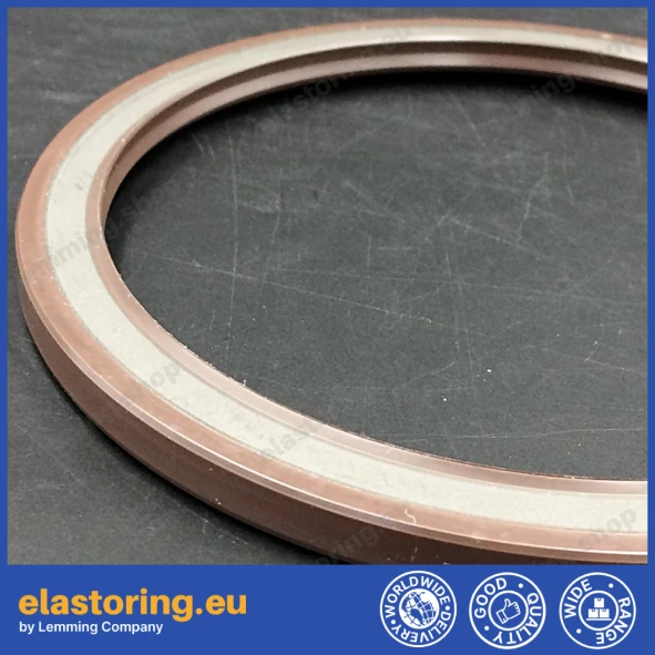 Oil seal 110x130x7 BAFSL1SF FPM