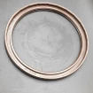 Oil seal 110x130x7 BAFSL1SF FPM