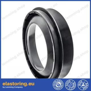 Oil seal 113x160x13,5/15 B1BAOFSFL23X7 NBR