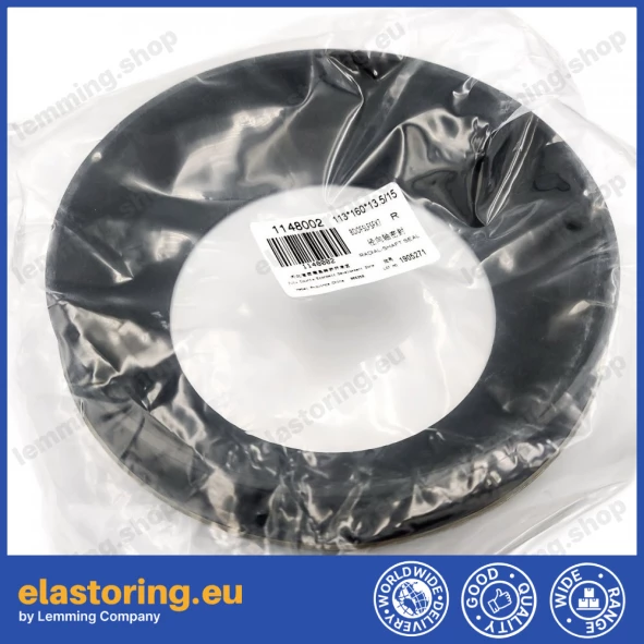 Oil seal 113x160x13,5/15 BDOFSLFSFX7 NBR Oil seal 113x160x13,5/15 BDOFSLFSFX7 NBR