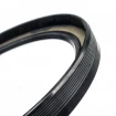 Oil seal 117,5x145x13,9 BAOFSFX7 NBR Oil seal 117,5x145x13,9 BAOFSFX7 NBR