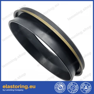 Oil seal 125x180x12/15 BDOFSLFSFX7 NBR