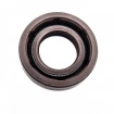 Pressure oil seal 12x22x6 BABSLVI FPM Pressure oil seal 12x22x6 BABSLVI FPM