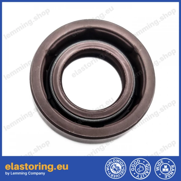 Pressure oil seal 12x22x6 BABSLVI FPM Pressure oil seal 12x22x6 BABSLVI FPM