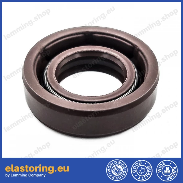 Pressure oil seal 12x22x6 BABSLVI FPM Pressure oil seal 12x22x6 BABSLVI FPM
