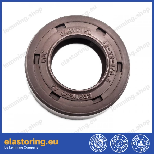 Pressure oil seal 12x22x6 BABSLVI FPM Pressure oil seal 12x22x6 BABSLVI FPM