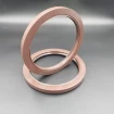 Pressure oil seal 130x160x14 TCN1 FPM
