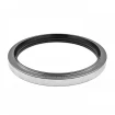 Oil seal 140x170x17 TCS