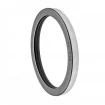 Oil seal 140x170x17 TCS