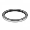 Oil seal 140x170x17 TCS