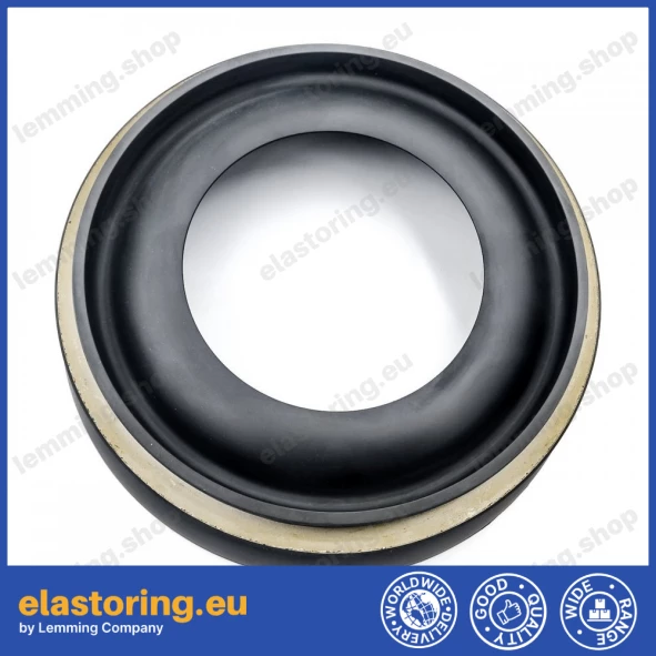 Oil seal 145x215x14/42 BDOFSLFSFX7 NBR Oil seal 145x215x14/42 BDOFSLFSFX7 NBR