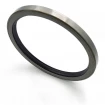 Oil seal 146,05x171,45x12,7 TA NBR